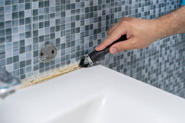 Best Certified Mold Removal  in East Northport, NY