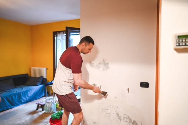 Best Residential Mold Removal  in East Northport, NY